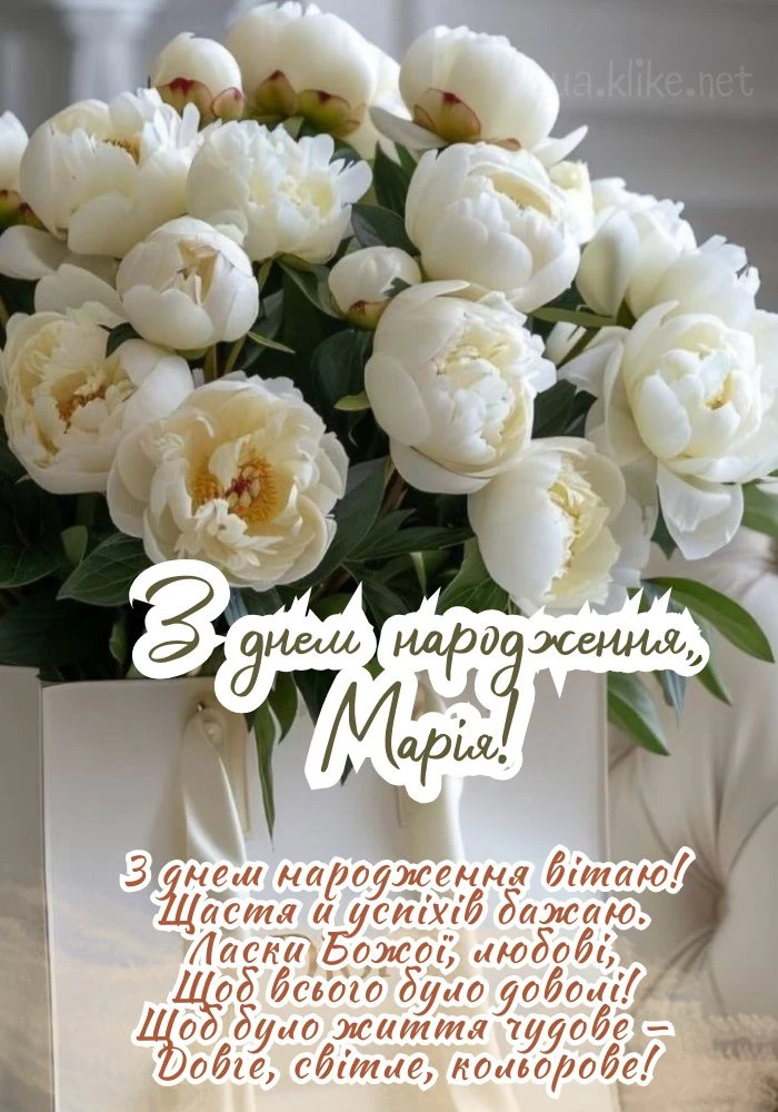 Білі піони в подарунковій упаковці з привітанням Марії.