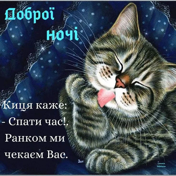 Кіт облизує лапу на фоні нічного неба з побажаннями добраніч.