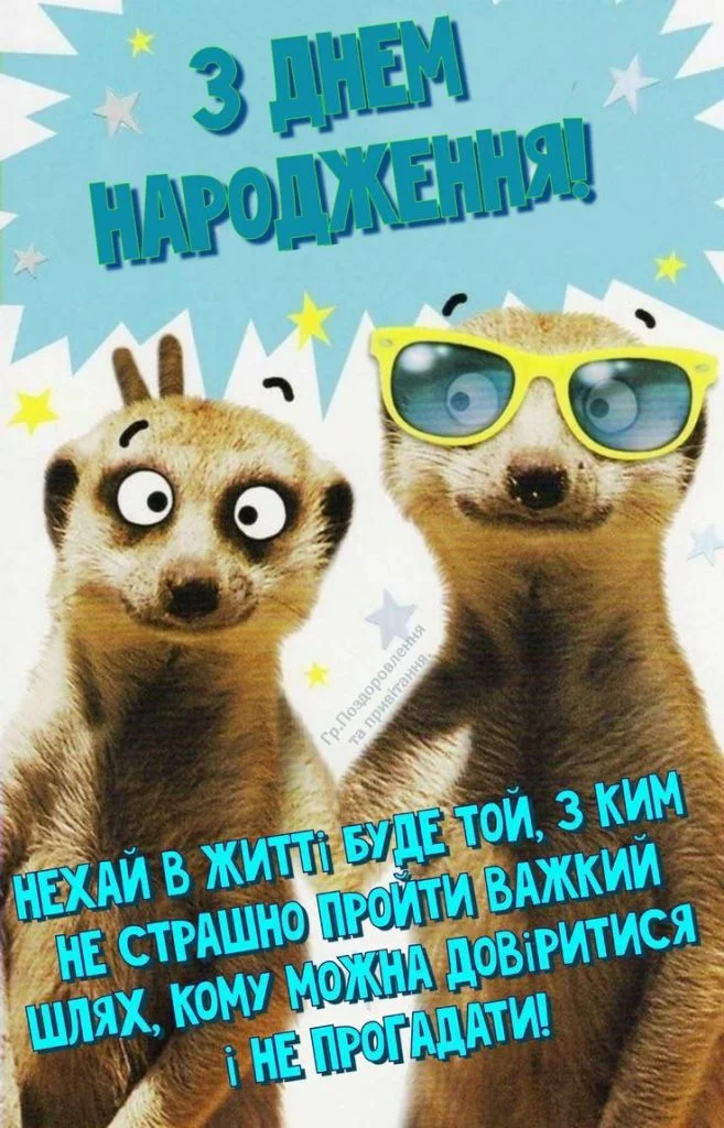 Два м'ягкі зображення для привітання з днем народження.