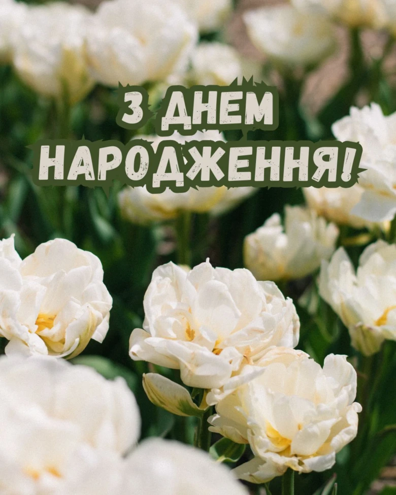 Білі квіти з привітанням з днем народження українською мовою.
