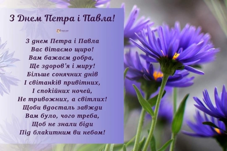 Привітання з днем Петра і Павла на фоні фіолетових квітів.