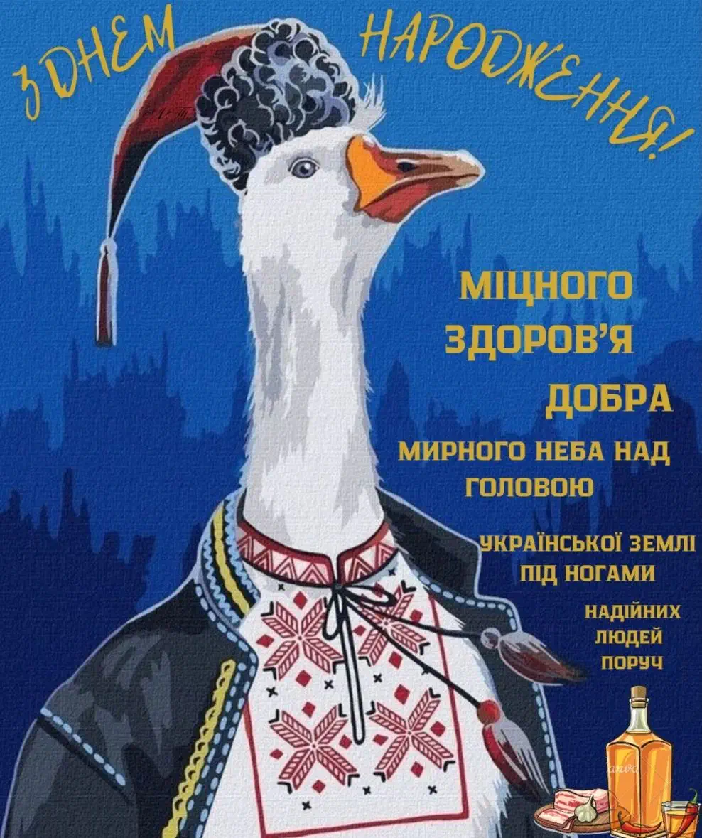 Гус у вишиванці з привітанням на день народження українською.