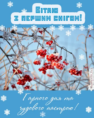 Перший сніг на гілках з ягодами та вітання українською.