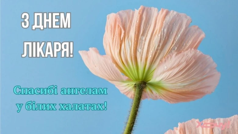 Розовий мак на синьому небі з привітанням лікаря.